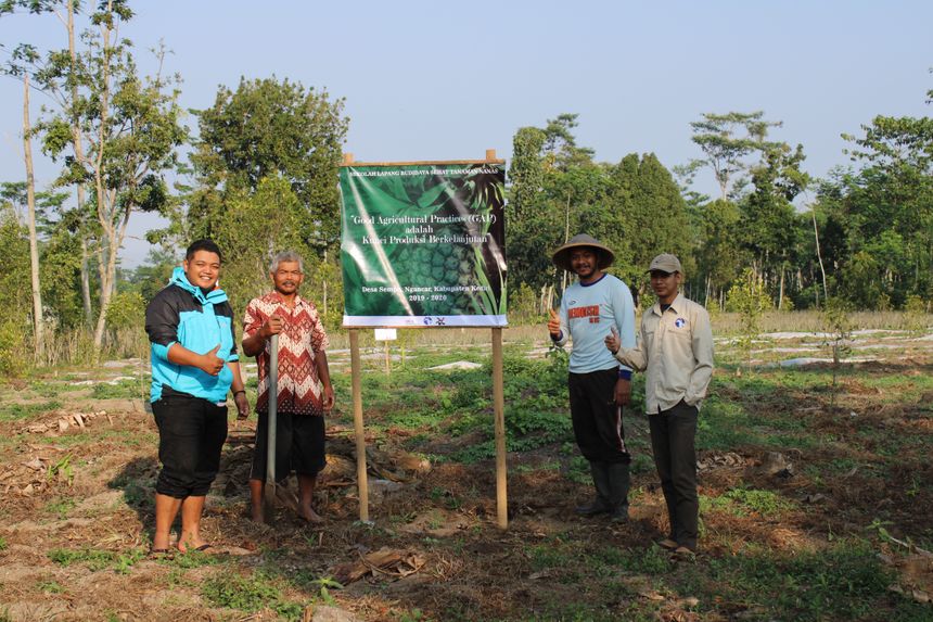 Sekolah Lapang – Nanas Sempu