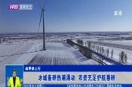 【四季垄上行】冰城备耕热潮涌动 农资充足护航春耕