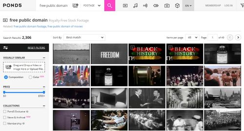 Pond 5 Public Domain Video Download