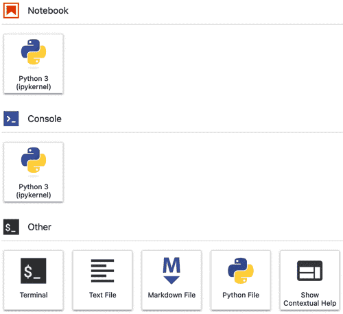 图 4.7 – Vertex AI Workbench 中的由用户管理的 JupyterLab 实例
