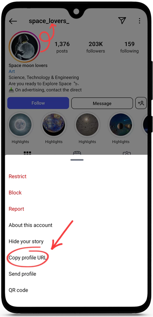 Instagram Profile Picture Downloader